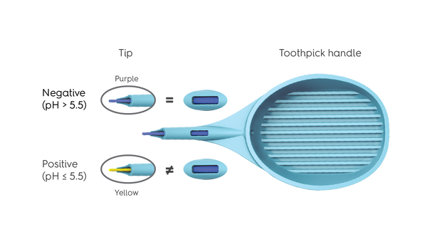 CaviSense Toothpick dispenser (contains 100 toothpicks)