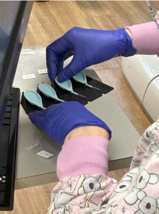 CaviSense Toothpick Trial kit (contains 20 toothpicks)